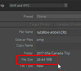 03 LR021 File Size (LrC)