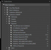 01 LR022 Collections Panel