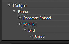 04 LR022 KW Panel Fauna Parrot