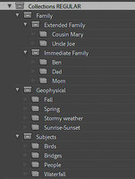 14 LR022 Collectiions Panel Subject oriented