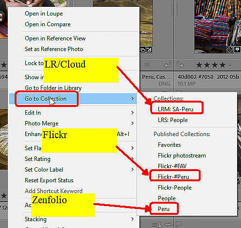 24 LR022 Collection Names tip