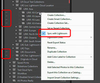 05 LR024-LrC02 Toggle Synced Collection