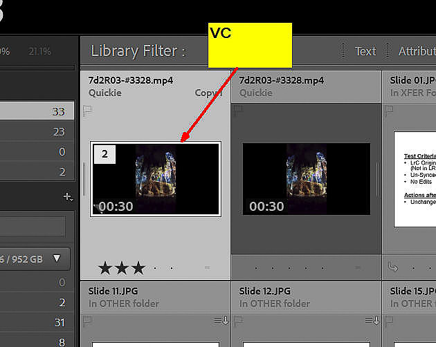 24 LR024-LrC06 Video VC