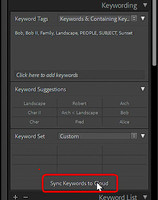 01 15.4 Sync KW's button