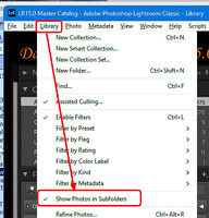 08 Show in Subfolders 2