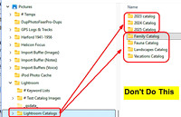 11 Multiple Active Catalogs