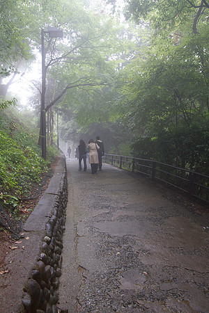 Foggy Stroll in Takao Mountain, Japan