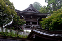 Yakuoin Temple, Takao, Japan 1