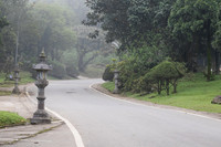 Fog.  Ba Vi Resort.  Ba Vi National Park
