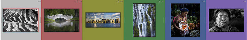 03 Grid Color Label Examples