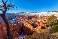 Bryce canyon in early morning from Sunset Point #8