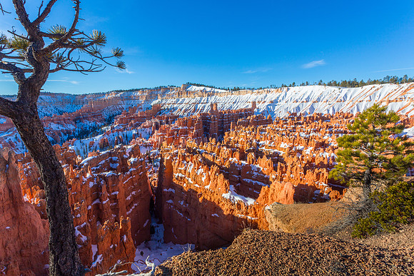 Bryce canyon in early morning from Sunset Point #8