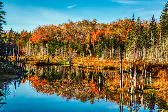 Fall Reflections Cape Breton Island