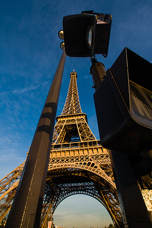 Standing Tall in Paris