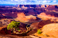 Morning at the Bend, Dead Horse Point, UT