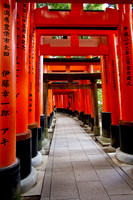 Tori gate row #1