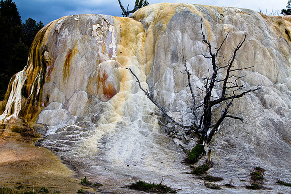 Orange Spring Mound #1, Yellowstone