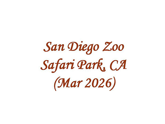 San Diego Zoo Safari Park, Mar 2026
