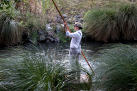 Punting in Christchurch