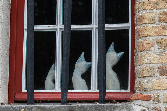 Three Porcelain cats in a Bruges window