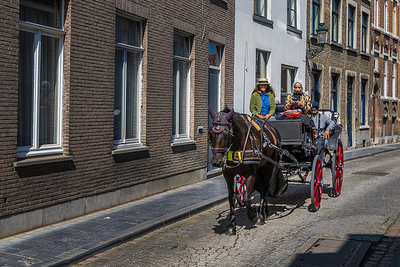 Horse and Carriage.  Bruges, France