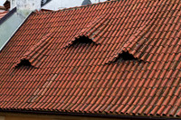 Red roof with Wire