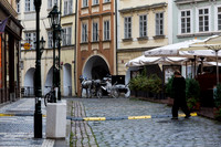 Carriage and walker after the rain