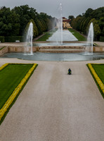 5d3R01-#3649