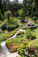 Japanese Garden at Powerscourt #1