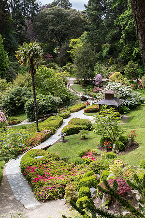Japanese Garden at Powerscourt #1