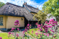 Thatched roof cottage, Adare Irelenad