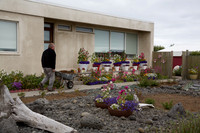Landscaping in Grindavik