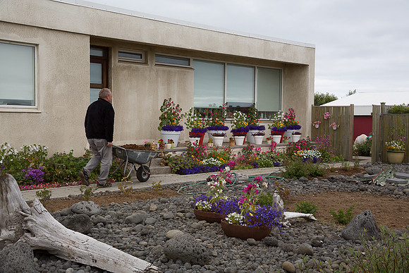 Landscaping in Grindavik