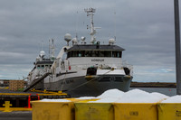 Grindavik Fishing Fleet