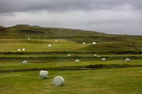Bales of Hay, near Reykholt, Iceland
