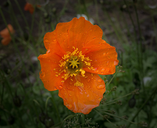 08 5d3R03-#2537