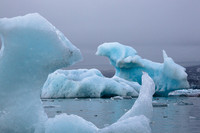 Two Bears - Iceberg in Jökulsárlón Iceberg Lagoon #08