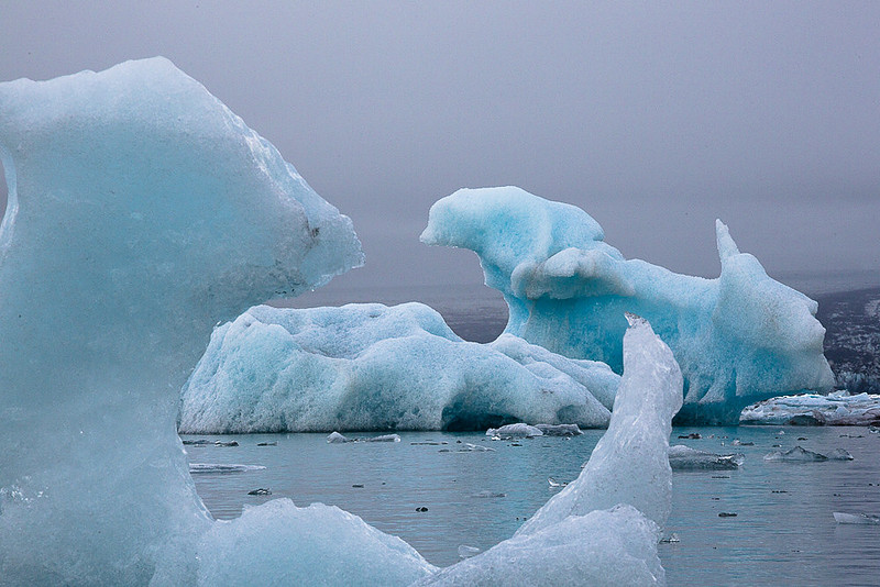 Two Bears - Iceberg in Jökulsárlón Iceberg Lagoon #08