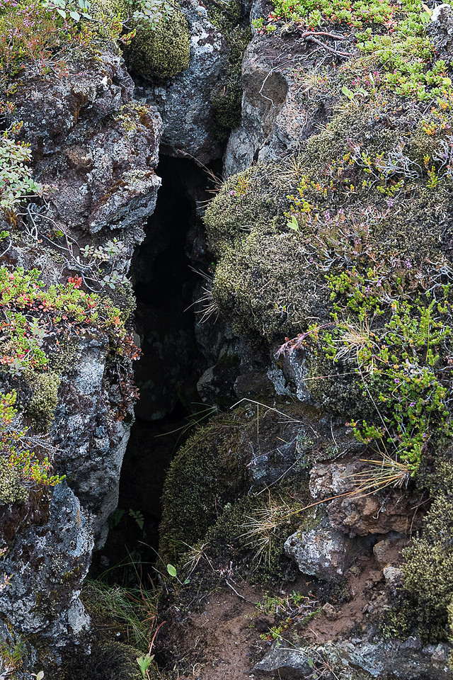 Tectonic Plate Boundry