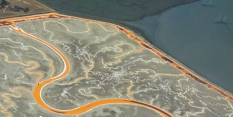 SF Bay Wetlands