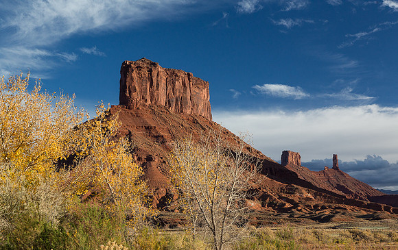 Butte & trees