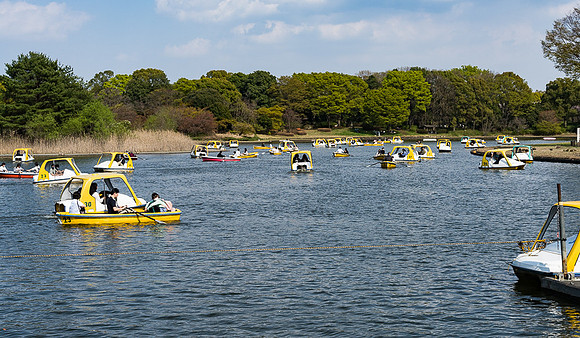 Boating, Showa Memorial Park