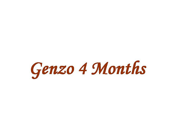 Genzo 4 Months