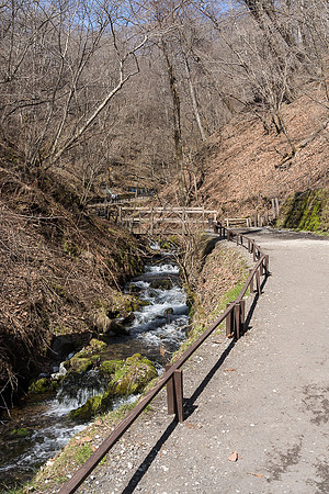 Trail to Karuizawa Shiraito Falls, Japan
