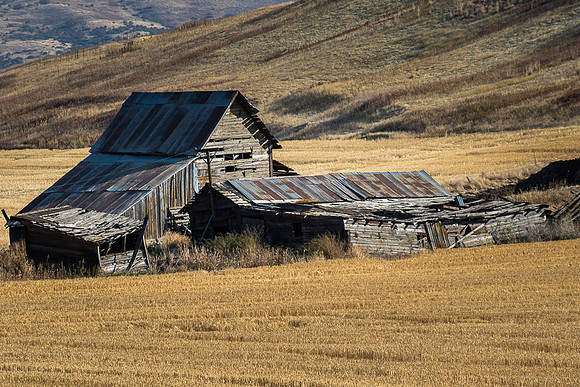 Tumbledown Barns and Sheds