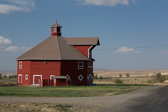 Octo Barn #2