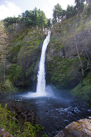 Horstail Falls 02, OR