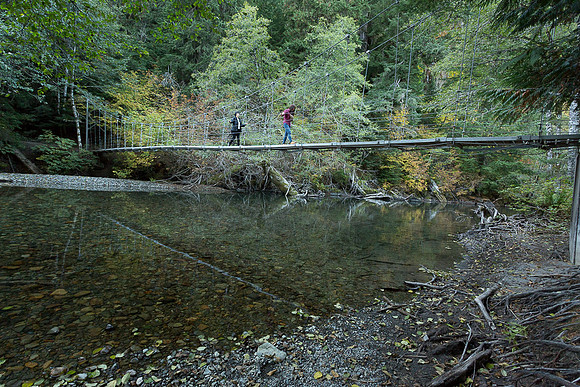 Suspension Bridge on Ohanapechosh River