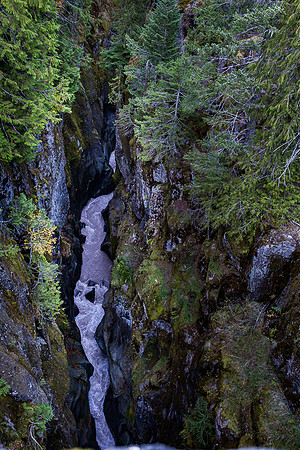 Box Canyon from Stevens Creek Rd