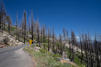 Burn area, Sequoia NP